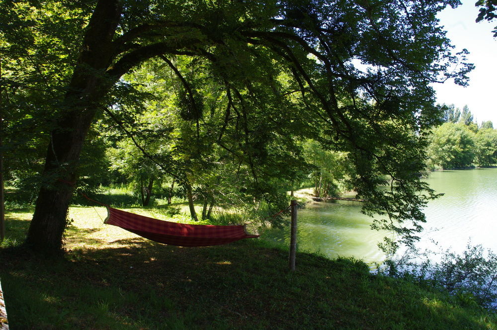 Logis Hotels Domaine Du Chatelard Dirac Екстериор снимка
